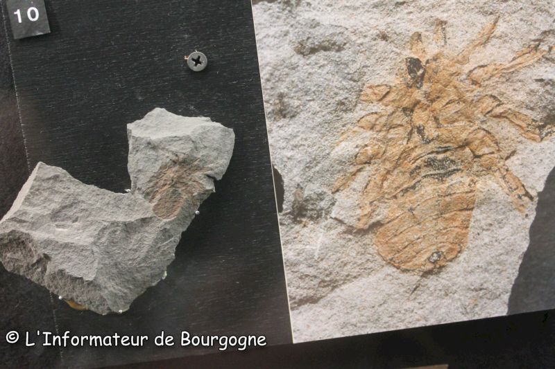 Médiathèques Du Bassin 1